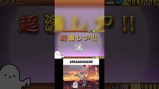 Getting Every Bikkuriman Unit 2 🙀🔥🙀👻 thebattlecats battlecat gaming battlecats [upl. by Phaih]