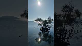 Lake Rotorua New Zealand [upl. by Flight899]