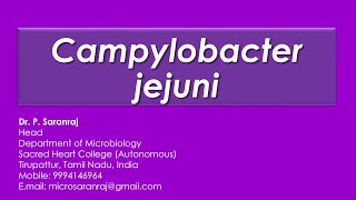 Campylobacter jejuni [upl. by Teodoor]