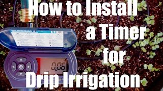 How to Install a Drip Irrigation Timer to Automatically Water a Garden  Growing Your Fall Garden 6 [upl. by Accber]