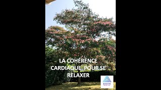 Cohérence cardiaque cardiac coherence  Le papillon dans le jardin [upl. by Yhtomiht]