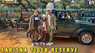 Sariska Tiger Reserve Stay in Vanbagh Eco Luxury Resort [upl. by Atiuqaj524]