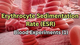 Erythrocyte Sedimentation Rate ESR  Blood experiments 1 [upl. by Yrohcaz288]