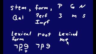 1004 Parsing Verbs [upl. by Ytomit]