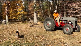 Ford 8n Skidding Logs [upl. by Kcyrred215]