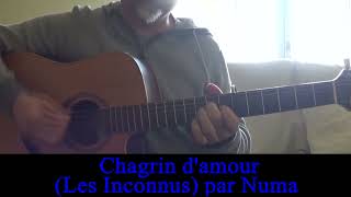 Chagrin damour  Les Inconnus  Cover guitarevoix Reprise chanson Humour 1991 [upl. by Teria]