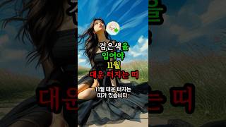 검은색을 입어야 11월 대운 터지는 띠 대운 로또 재물운 풍수 [upl. by Radmilla]