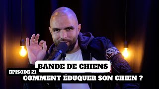 Comment éduquer son chien   BANDE DE CHIENS Ep21 [upl. by Eldridge]