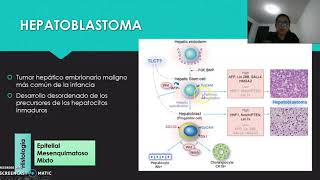 Hepatoblastoma [upl. by Maffei]