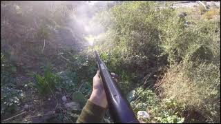 VIDEO I MIGLIORI MOMENTI CACCIA AL CINGHIALE 2023VIDEO WILD BOAR HUNTING COMPILATION 2023 [upl. by Harness]