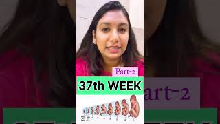 37th week of pregnancy में क्या करना चाइए  ✅🤰 [upl. by Hoxsie129]