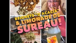 3 MIAM  Beignets de fleurs quotdacaciaquot amp limonade de SUREAU [upl. by Delacourt]