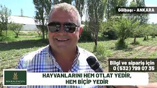 ODOT NEDİR  NE İŞE YARAR  Gölbaşı  ANKARA Maralfalfa TV Turhan Kendirli [upl. by Sonni]