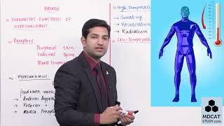 2ND YEAR BIOLOGY CH 01 LEC16 THERMOSTAT FUNCTION OF HYPOTHALAMUSmp4 [upl. by Atronna]