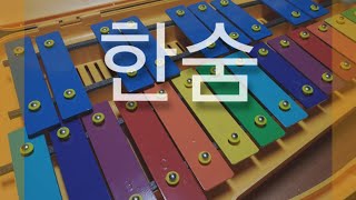 한숨이하이 글로켄슈필 실로폰 Glockenspiel cover Xylophone cover [upl. by Persson]