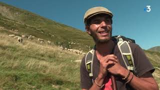 Ariège  le berger qui sest retrouvé face à une ourse et son ourson témoigne [upl. by Cris]