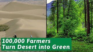 It shocked the world China 100000 Farmers Turned Deserts Into Green Forests [upl. by Senior465]