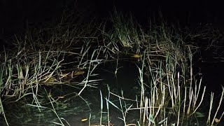 pesca nocturna en lago [upl. by Akelahs911]