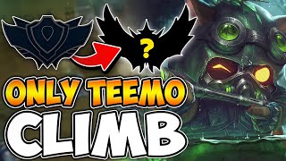 Teemo from Unranked to High Elo Returns HOW HIGH CAN I CLIMB WITH TEEMO [upl. by Aivil]