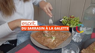 Du sarrasin à la galette [upl. by Pontone992]