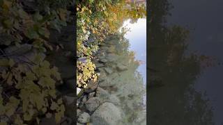 Elkhart Lake beautiful nature life fun shorts shortvideo beauty relaxing relax travel [upl. by Marsden]