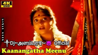 KAANAGATHEY MEENU VANGI PULLA REMIX SONG ༒Dj••அளப்பர࿐😈 Official USE HEADPHONES [upl. by Haizek531]