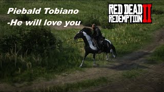 Piebald Tobiano Hungarian Halfbred in Chapter 2  Easy  Red Dead Redemption 2 [upl. by Shelman]