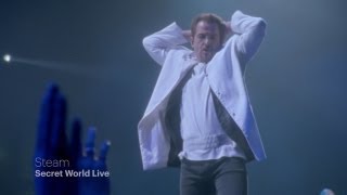 Peter Gabriel  Steam Secret World Live HD [upl. by Janaya940]