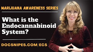 What is the Endocannabinoid System  Marijuana Awareness Series [upl. by Yenaffit82]