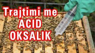 🔴Episodi 12 Trajtimi i varroas me Acid Oksalik Bletaria Shqip [upl. by Naujat]