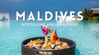 Introducing Amilla Maldives  Maldives Wise [upl. by Saxena]