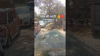 love marriage ♥️♥️♥️🫂shortvideo trending youtube viral। [upl. by Langsdon700]