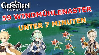 Effiziente Windmühlenaster Farmroute Genshin Impact F2P Farmguide [upl. by Enairda]