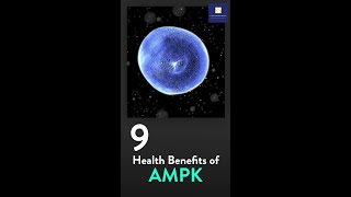 AMPK [upl. by Sirromaj]