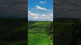 জামালপুর জেলার পাহাড়ি সৌন্দর্য এক ভিডিওতেই। travel nature lake jamalpur vally [upl. by Ramin]