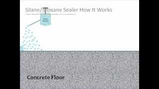 How Does a SilaneSiloxane Concrete Sealer Work Video  SealGreencom  8009973873 [upl. by Nowyt]