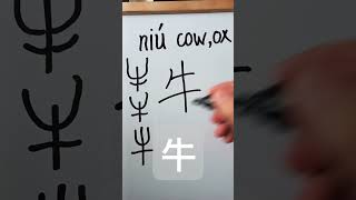 Easy Chinese Writing Chinese farm animals 牛 niú 우 137 [upl. by Feriga]