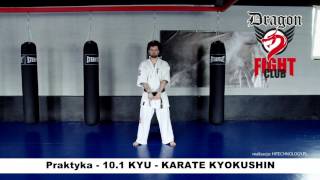 Wymagania egzaminacyjne dla dzieci do lat 14  Karate KYOKUSHIN  PRAKTYKA  Stopień 101 KYU [upl. by Anoit]