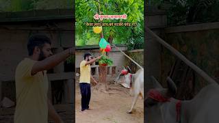 आपने ऐसी जन्माष्टमी कभी नहीं देखी होगी😱😍cow cowvideos janmashtami krishna radha gaiya yt [upl. by Merceer]