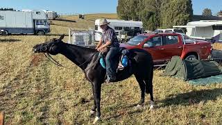 OTAGO GOLDFIELDS CAVALCADE 2023 [upl. by Tnecnivleahcim82]