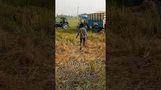 Eicher 333 super pawar full sort viralvideo [upl. by Simsar]