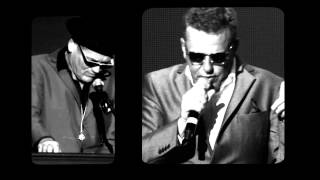 Madness  Never Knew Your Name Official Video [upl. by Yanehc681]