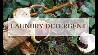 How to make a LAUNDRY DETERGENT with horse chestnuts NO WASTE [upl. by Acirfa]