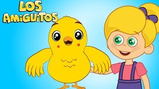 El Pollito Pio Pio cancion infantil y muchas máss  Los Amiguitos [upl. by Ahsiyt47]