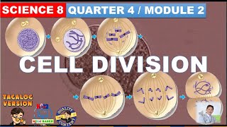 Cell Division  Mitosis and Meiosis Grade 8 Science Quarter 4 Module 2 [upl. by Amoreta]