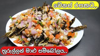 මාලු සම්බොලේ  How to make fish sambol  herring fish salad [upl. by Kalila]