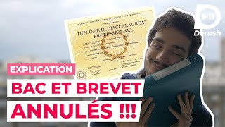 LE BAC ET LE BREVET ANNULÉS 😱 JE T’EXPLIQUE TOUT [upl. by Yeca486]