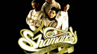 Shamanes crew ft Kymani Marley AMOR DE GHETTO [upl. by Reemas]