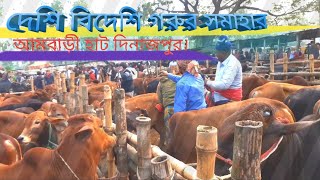 আমবাড়ী গরুর হাট। দিনাজপুর। Ambari cattle market Dinajpur [upl. by Lower]