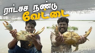 King Crab Hunting at River mixing Sea  கடல் கலக்கும் ஆற்றில் கலி நண்டு வேட்டை [upl. by Naivaj742]